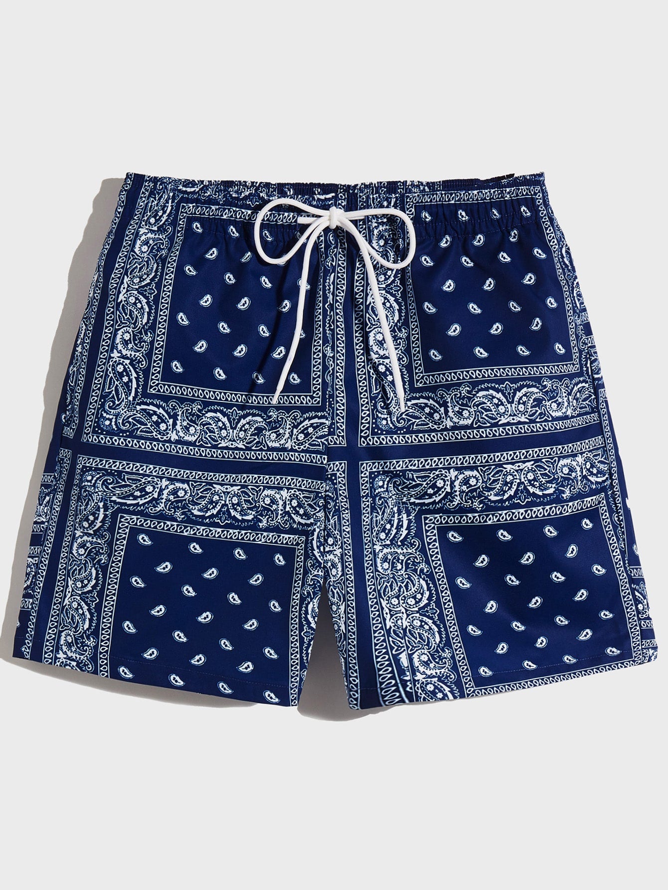 Men Drawstring Waist Paisley Print Shorts