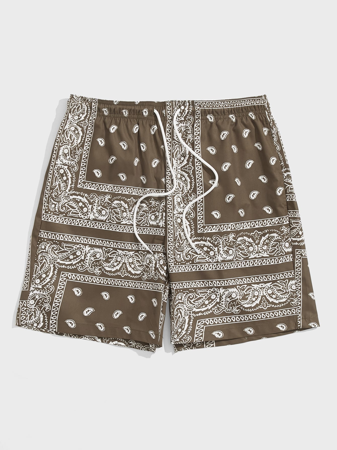 Men Drawstring Waist Paisley Print Shorts