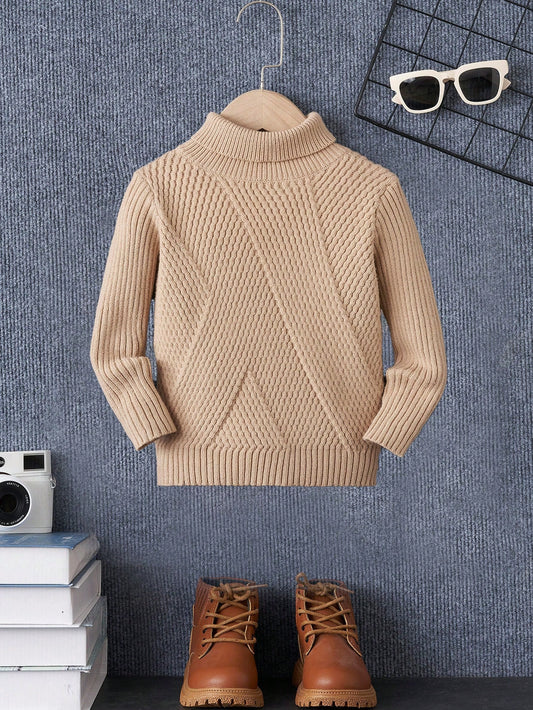 Young Boy Turtleneck Solid Sweater