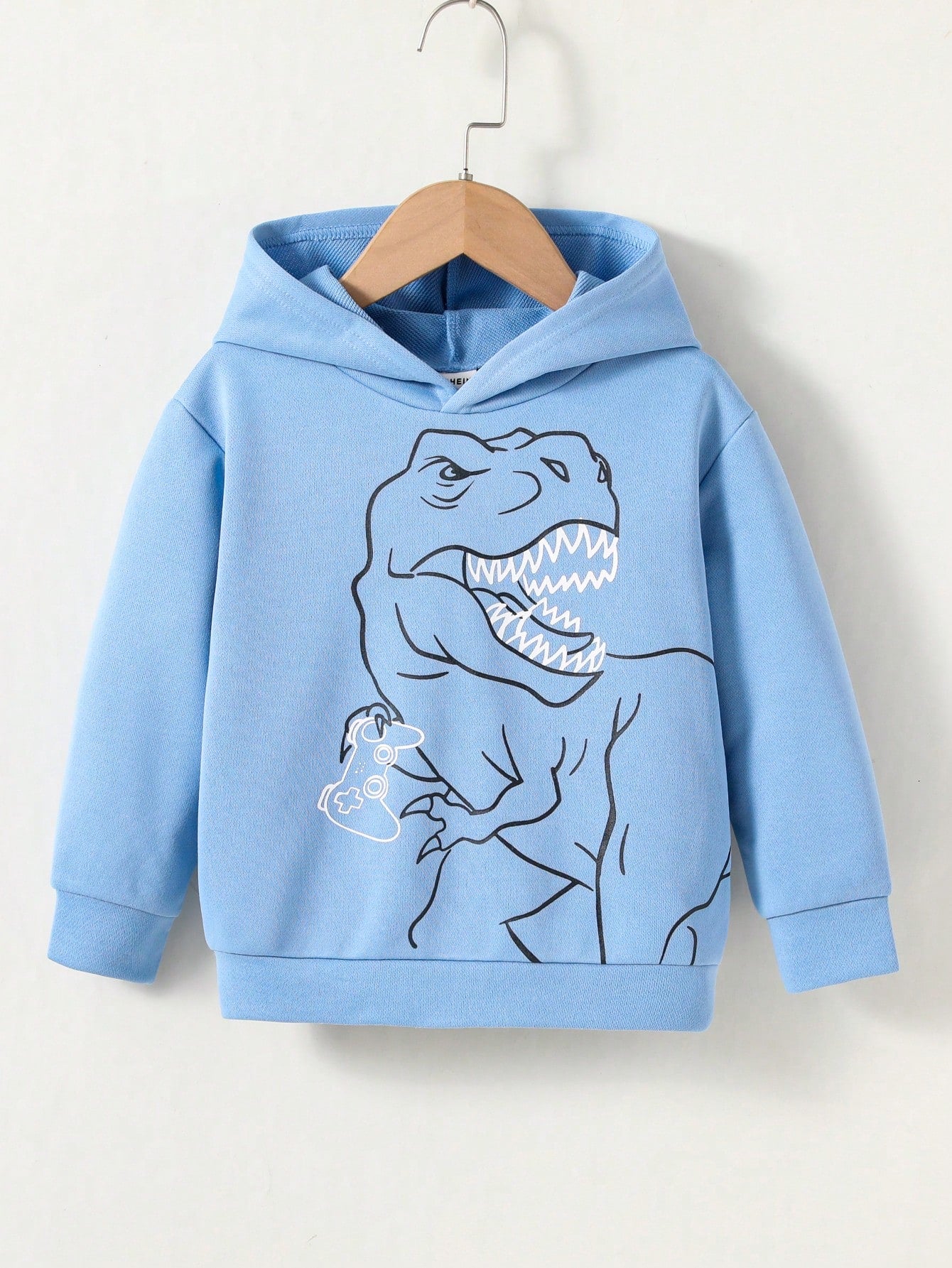 Young Boy Casual Dinosaur Printed Hoodie With Game Controller, Sports Style