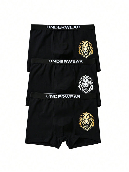 Tween Boy 3pack Lion & Letter Graphic Boxer Brief