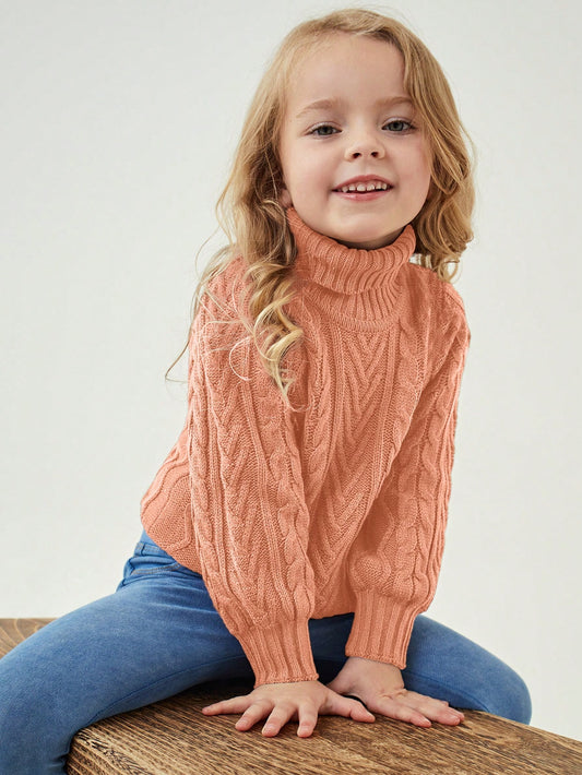 Young Girl Turtleneck Cable Knit Sweater