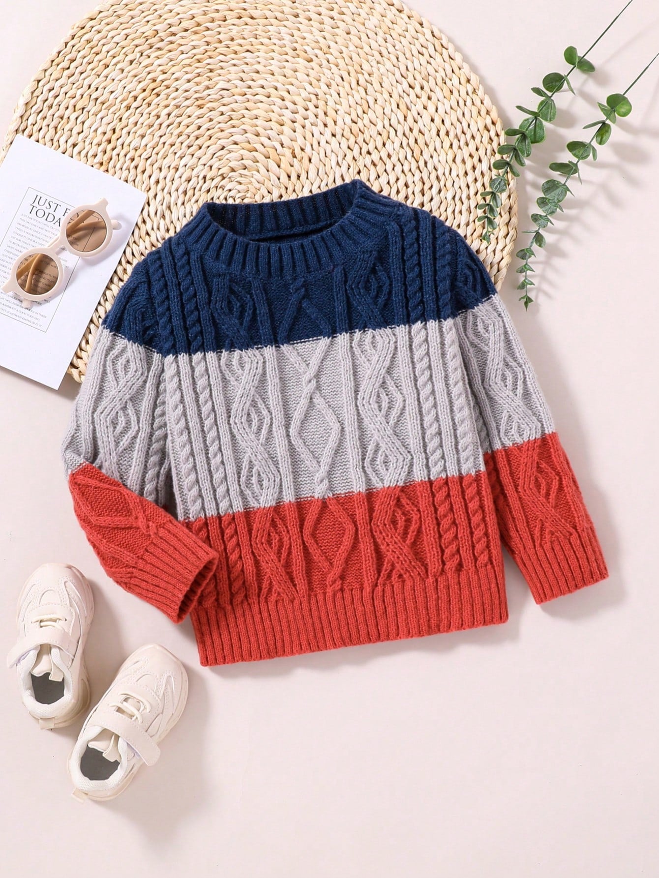 Young Boy Colorblock Cable Knit Sweater