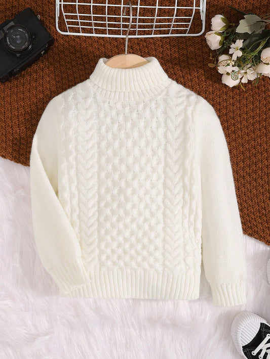 Young Boy Turtleneck Cable Knit Sweater