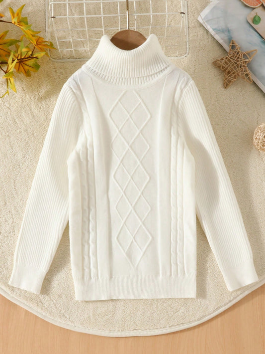 Young Boy Turtleneck Cable Knit Sweater