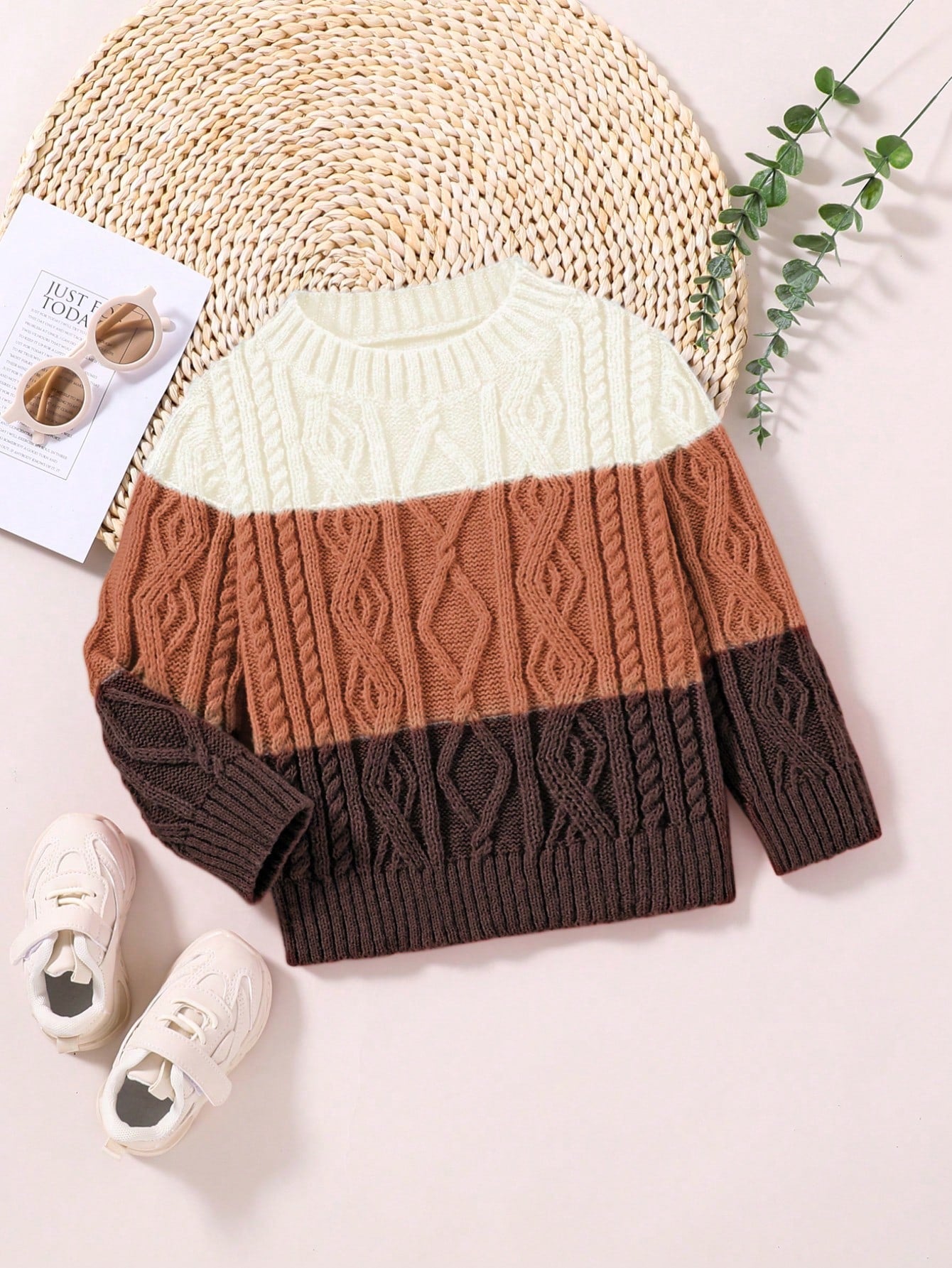 Young Boy Colorblock Cable Knit Sweater