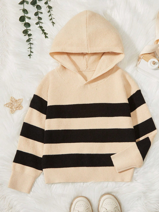 Toddler Boys' Casual Striped Hoodie Sweater For Any Occasion