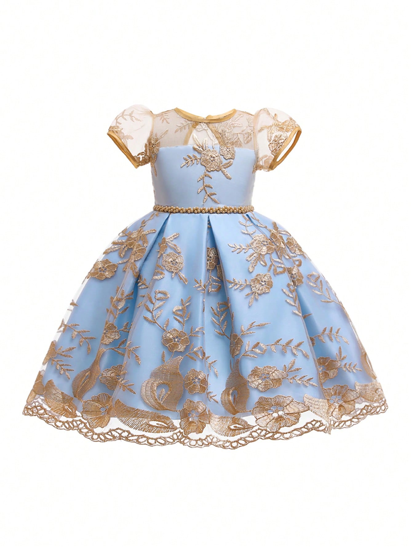 Young Girl Embroidered Flower Girl Princess Dress For Birthday Party, Wedding And Performances