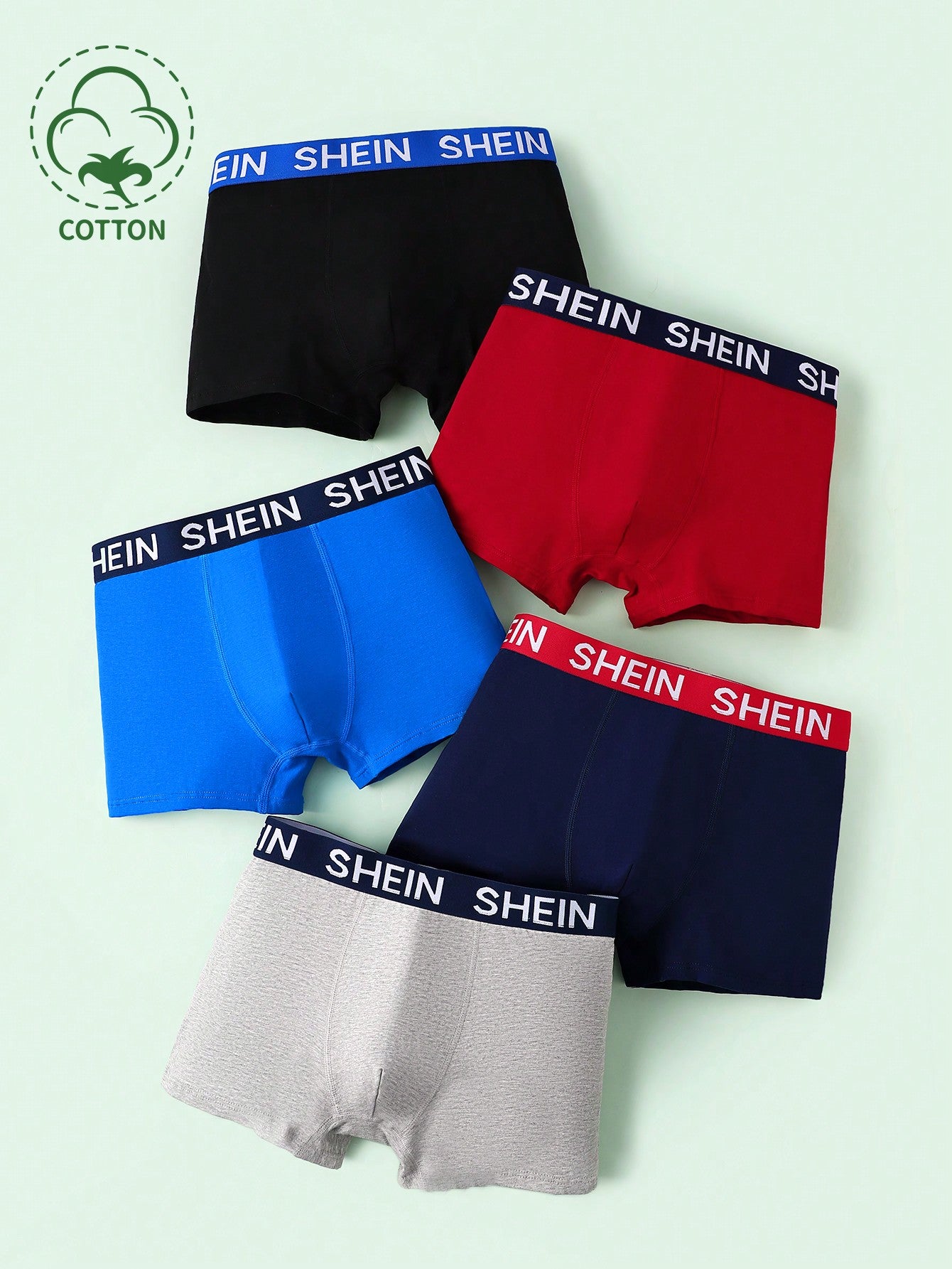 5pcs/Set Teen Boy's Letter Printed Underwear With Waistband