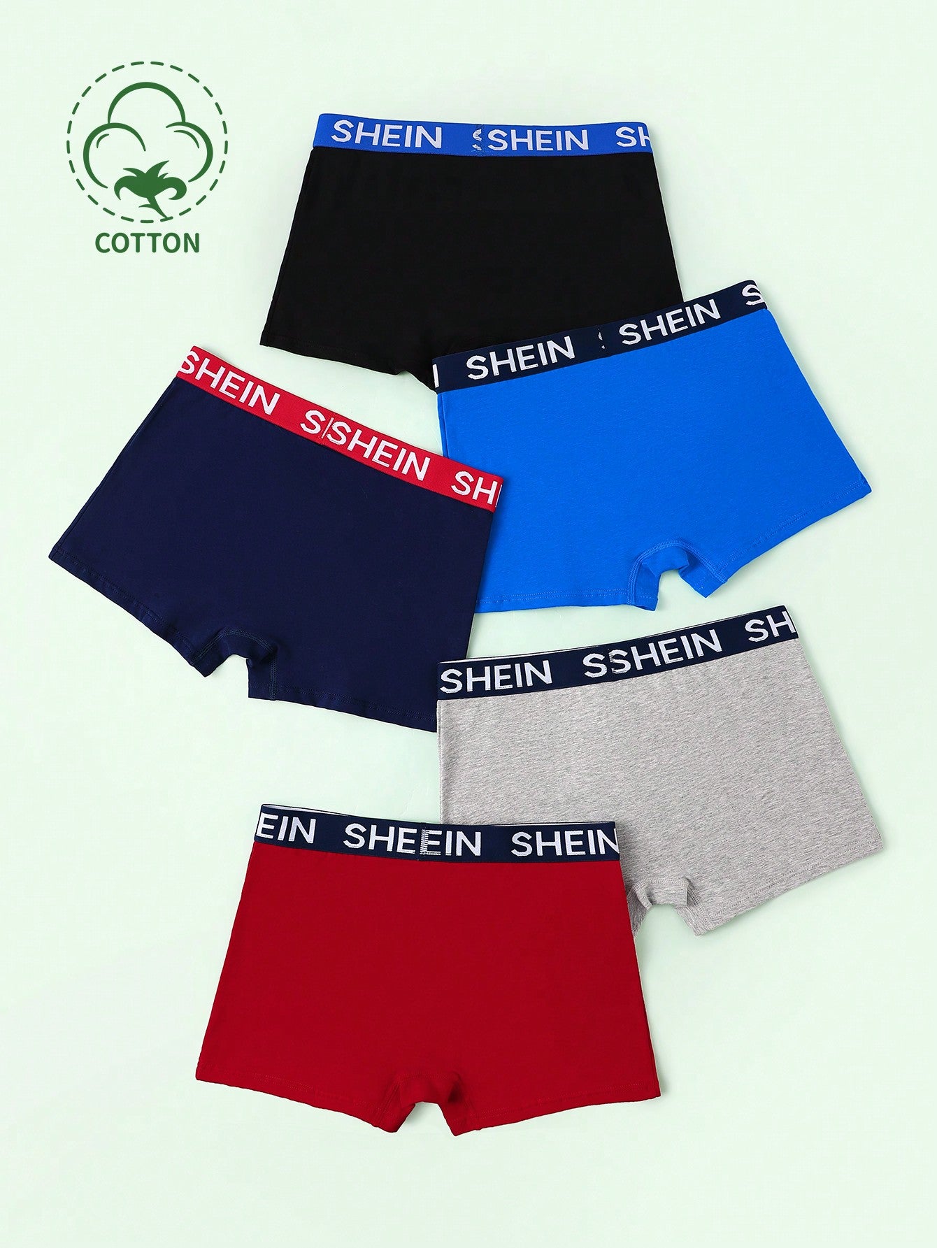 5pcs/Set Teen Boy's Letter Printed Underwear With Waistband