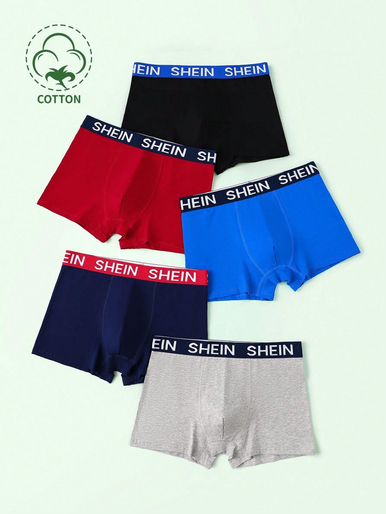 5pcs/Set Teen Boy's Letter Printed Underwear With Waistband