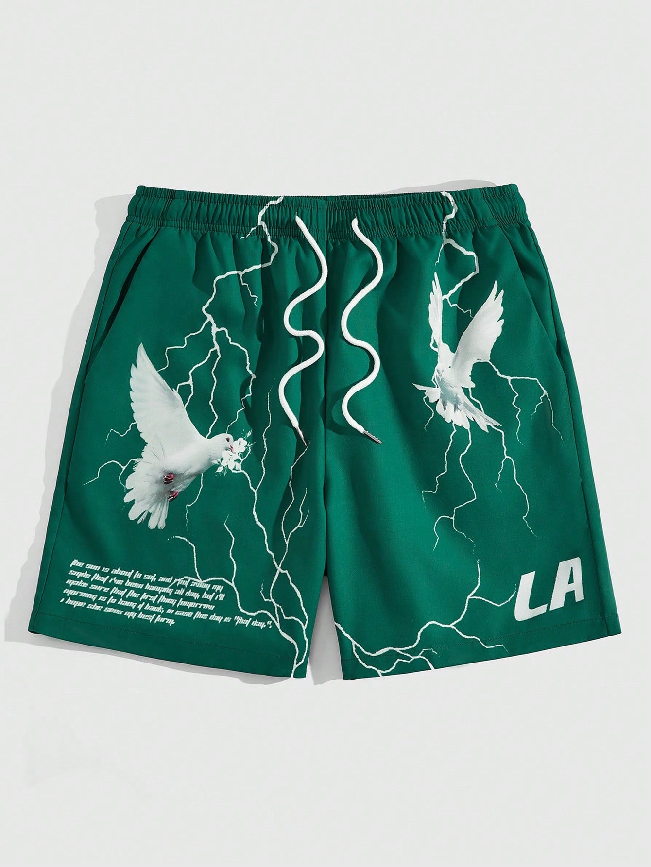 Street Life Men Pigeon & Slogan Graphic Drawstring Waist Shorts