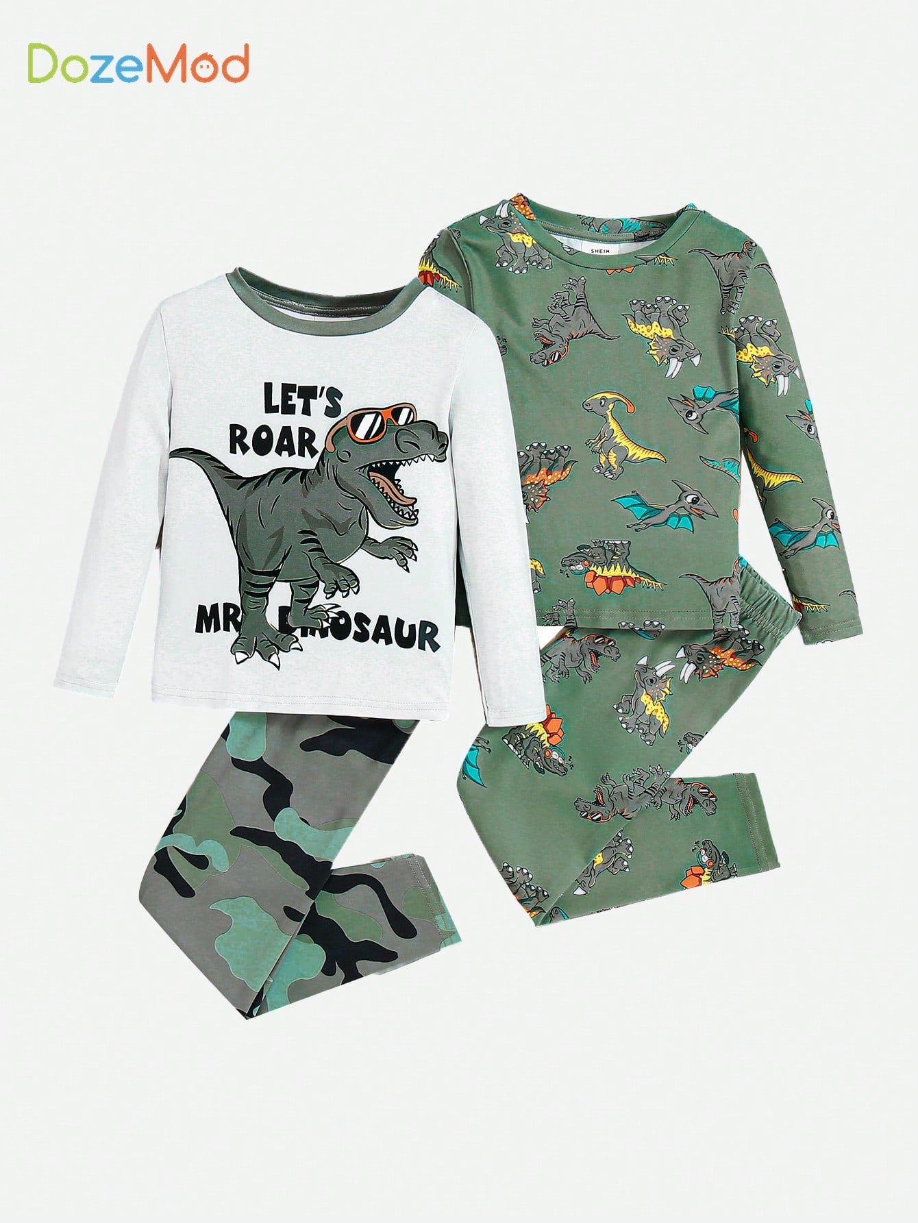 Young Boy 2sets Dinosaur Print Tee & Pants Snug Fit PJ Set