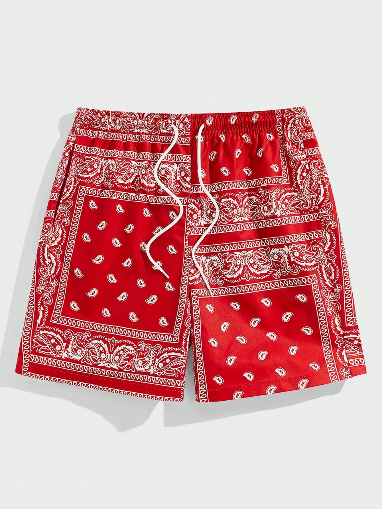 Men Drawstring Waist Paisley Print Shorts