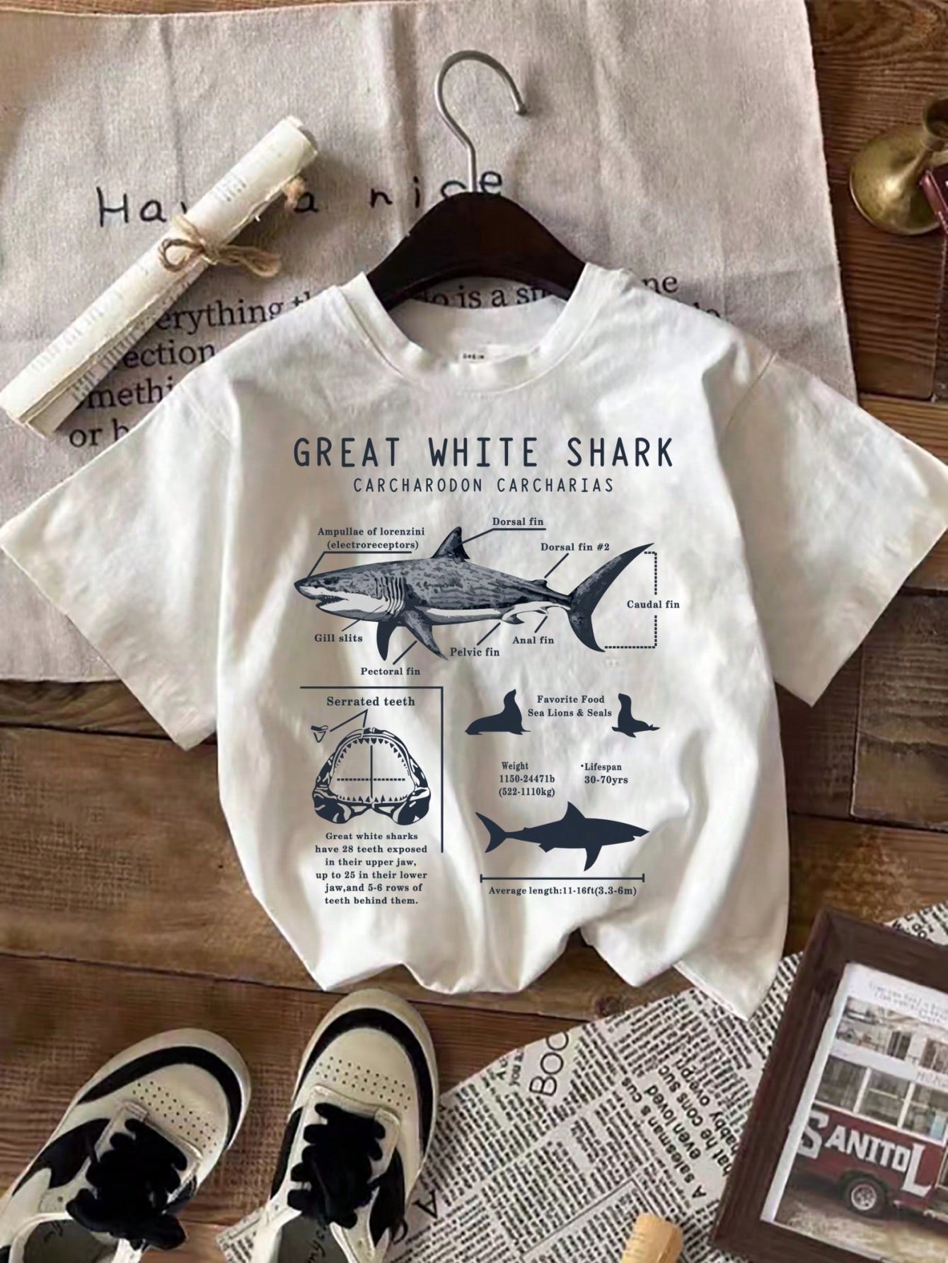 Young Boy Summer Casual Shark Slogan Print Short Sleeve T-Shirt