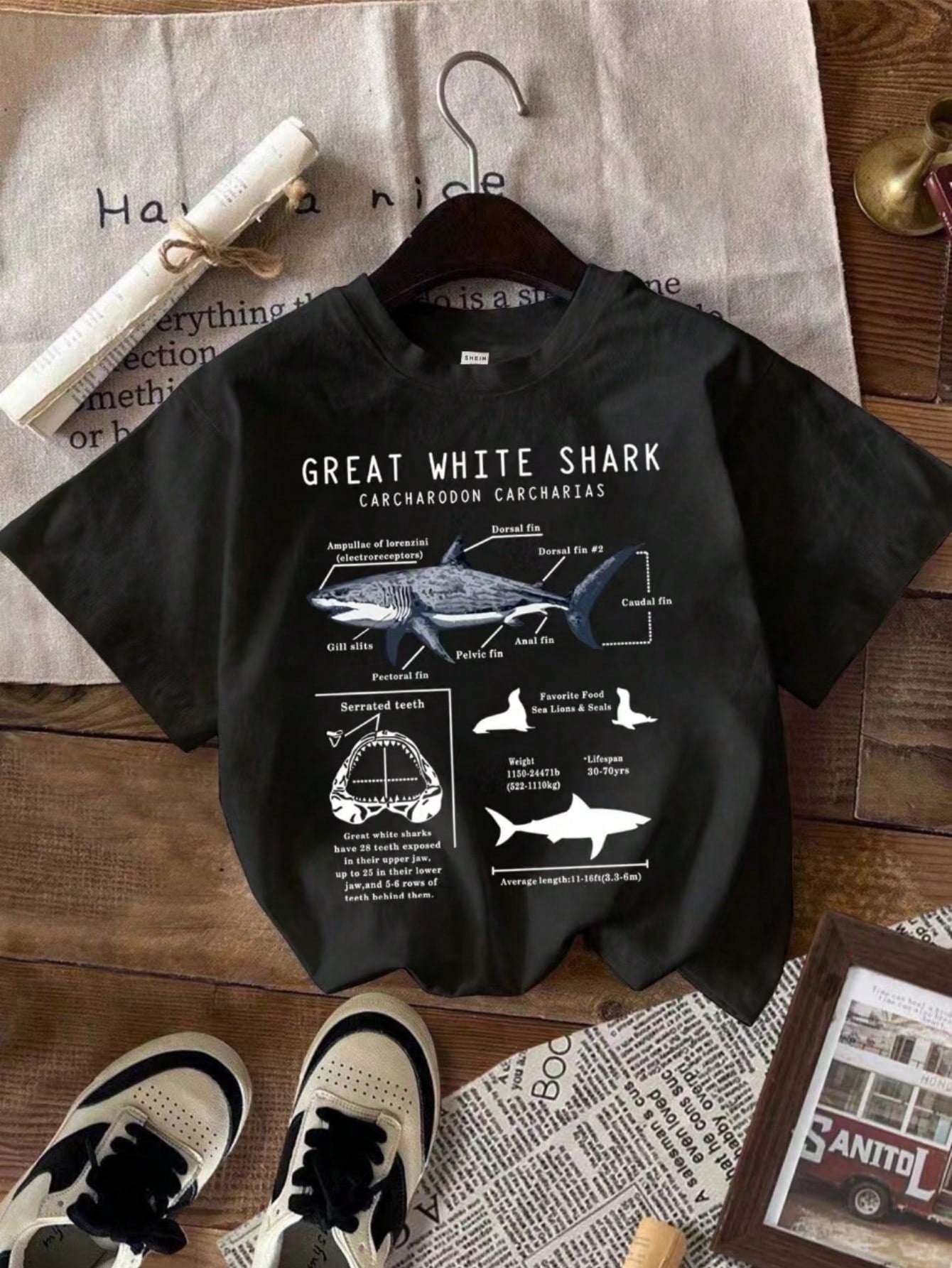 Young Boy Summer Casual Shark Slogan Print Short Sleeve T-Shirt