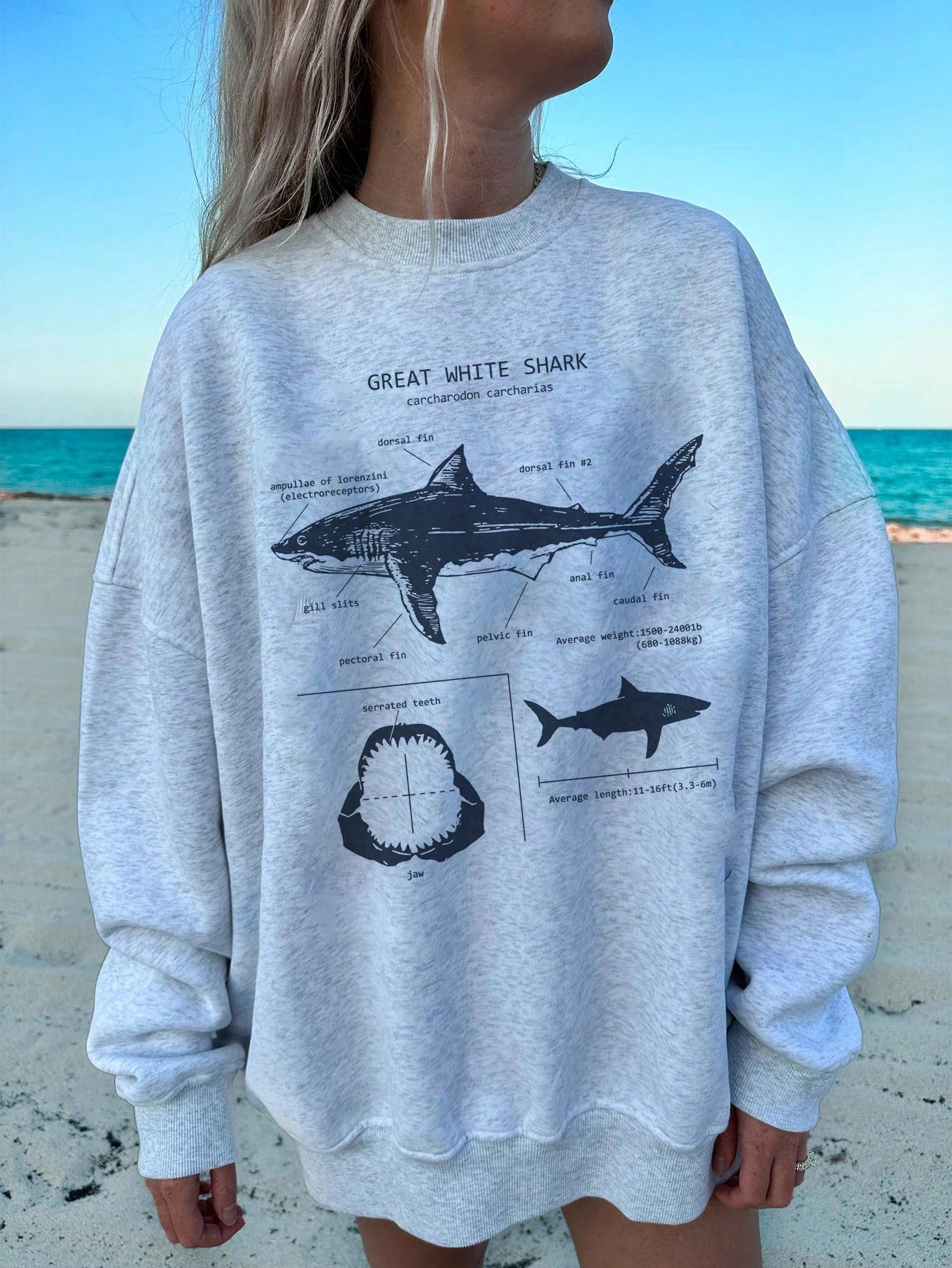 Casual Simple Printed Round Neck Loose Fit Women's Long Sleeve Sweatshirt