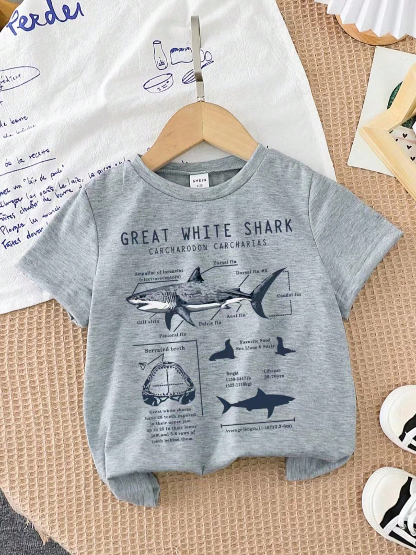 Young Boy Summer Casual Shark Slogan Print Short Sleeve T-Shirt