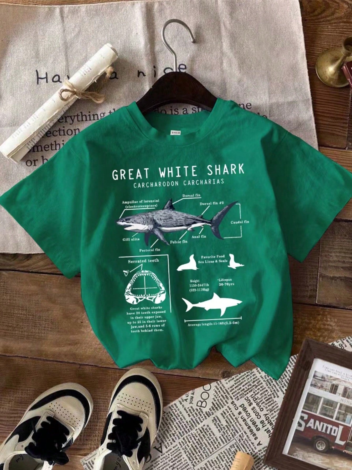 Young Boy Summer Casual Shark Slogan Print Short Sleeve T-Shirt