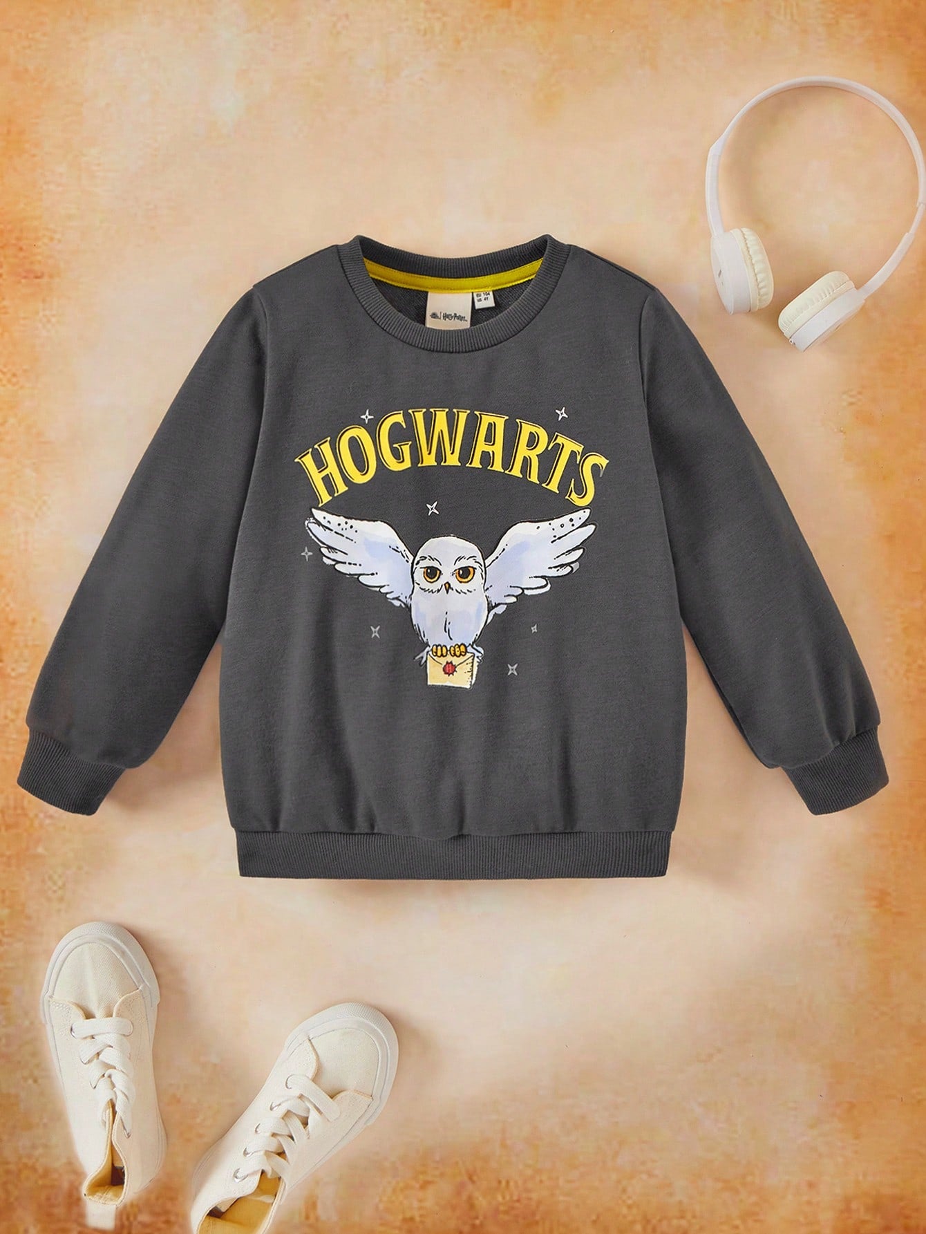 HARRY POTTER X Young Girl Cartoon Owl And Letter Printed Casual Long Sleeve Round Neck Sweatshirt,Hedwig