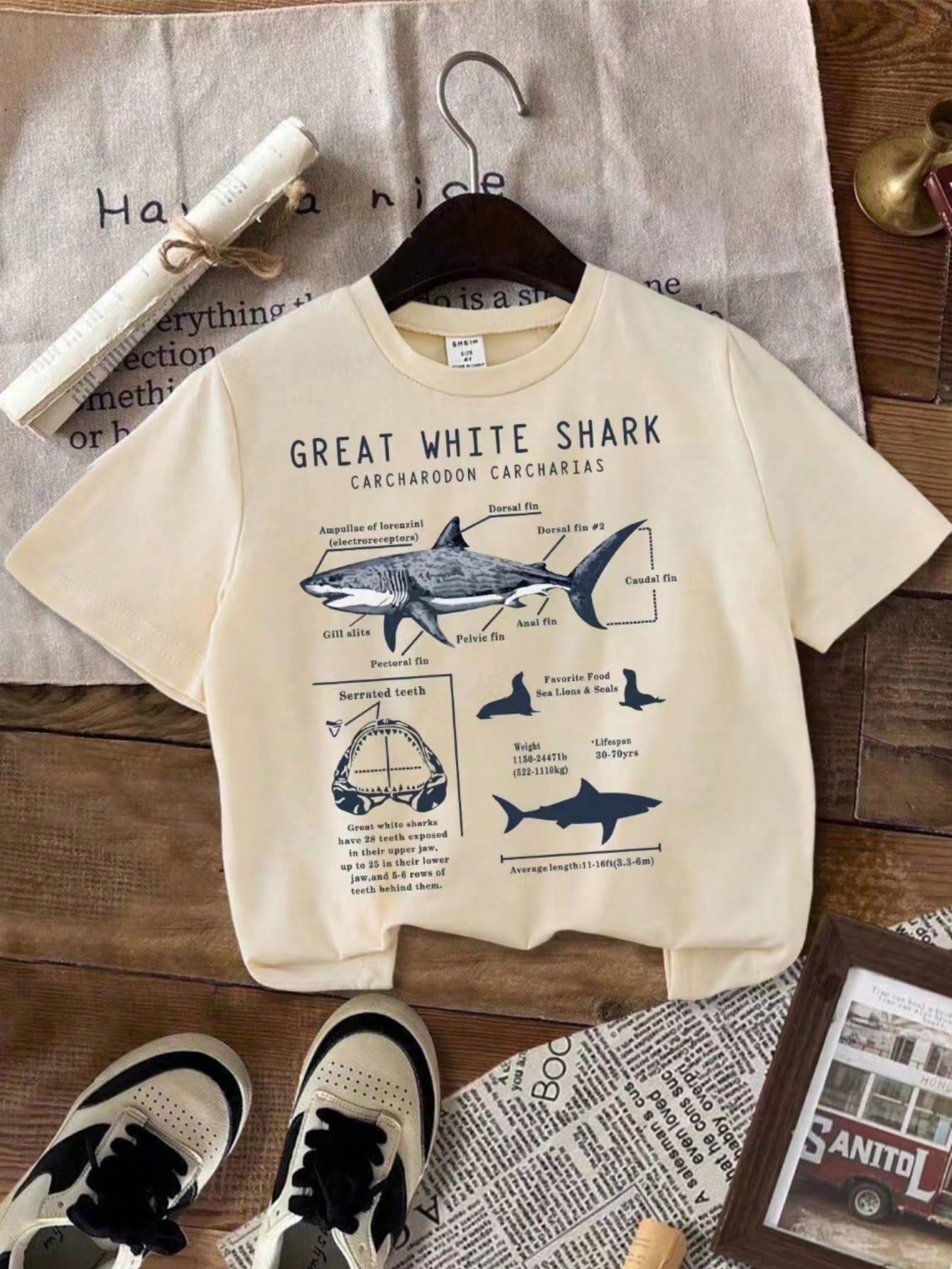 Young Boy Summer Casual Shark Slogan Print Short Sleeve T-Shirt