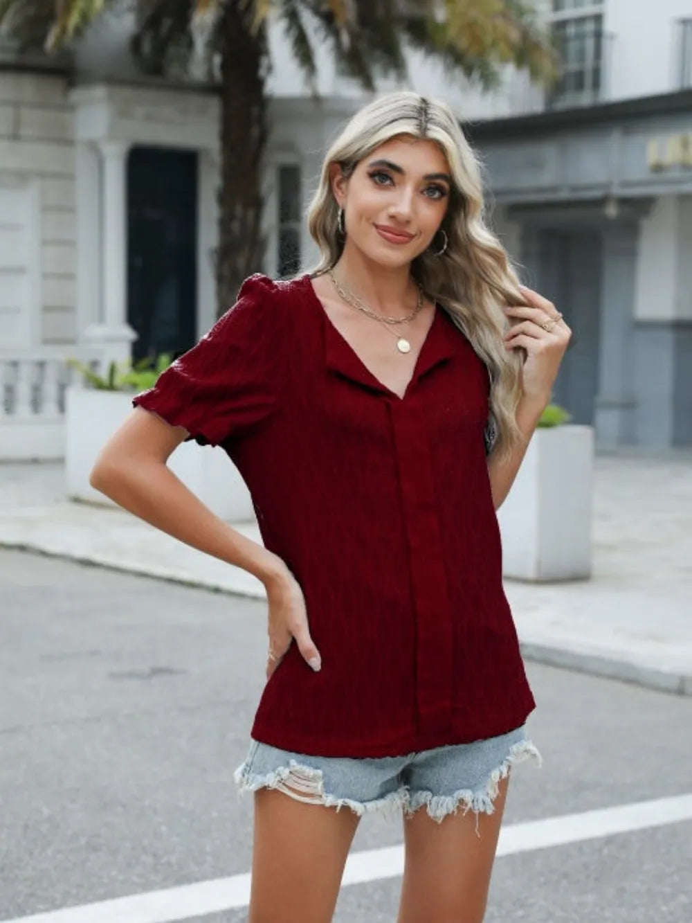 Textured Notched Short Sleeve Blouse