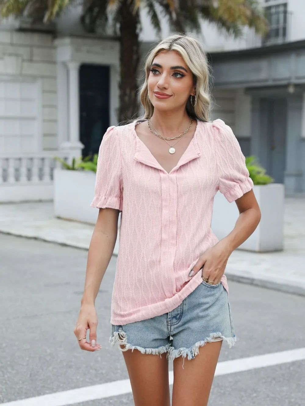 Textured Notched Short Sleeve Blouse