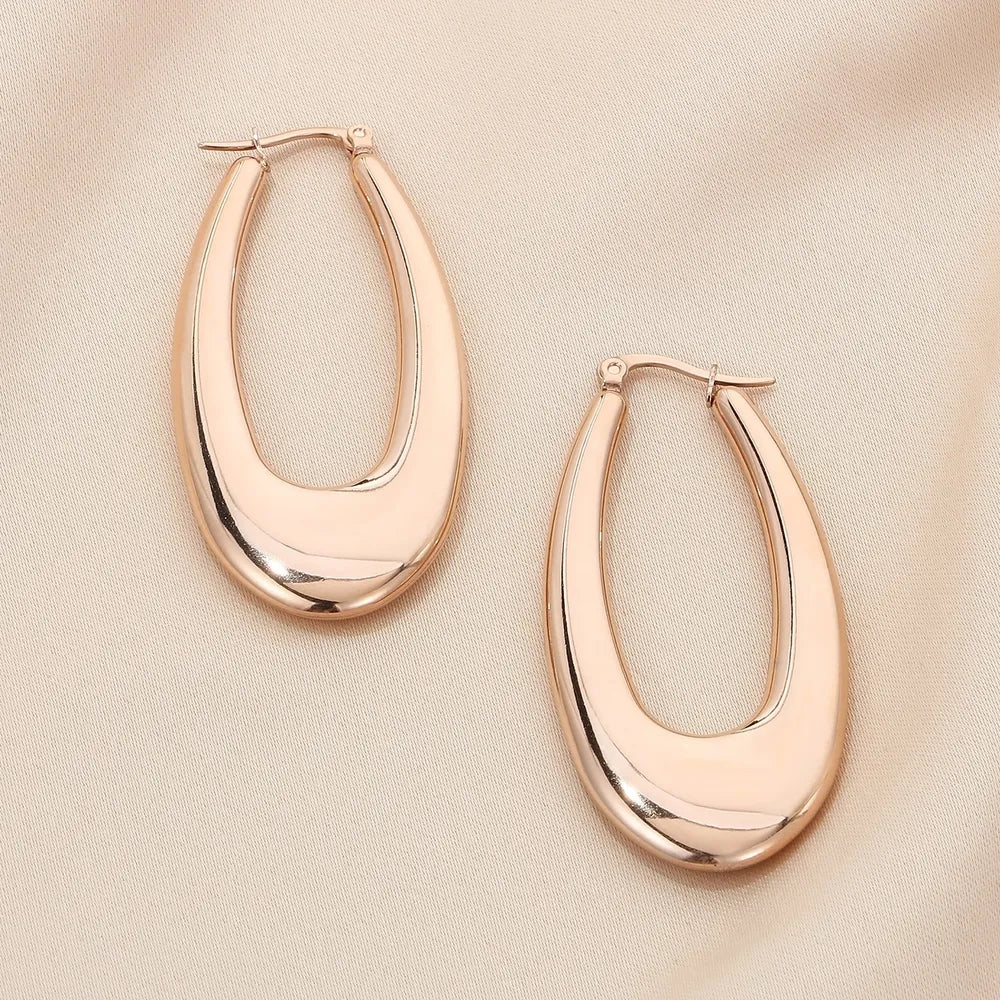 Stainless Steel Hinged Hoop Earrings