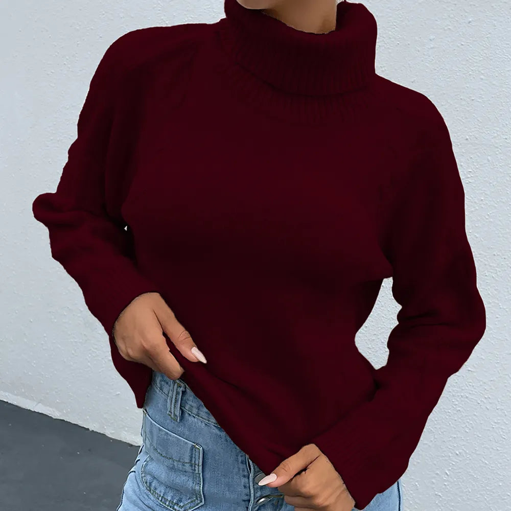 Turtleneck Dropped Shoulder Long Sleeve Sweater